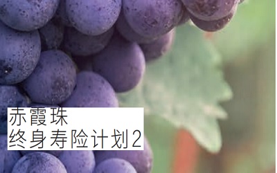 為什么說宏利赤霞珠終身壽險(xiǎn)計(jì)劃2是儲蓄險(xiǎn)又是壽險(xiǎn)